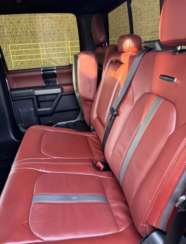 2022 Ford F-350 Platinum 6.7L Power Stroke Diesel